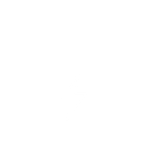 energy efficiency icon